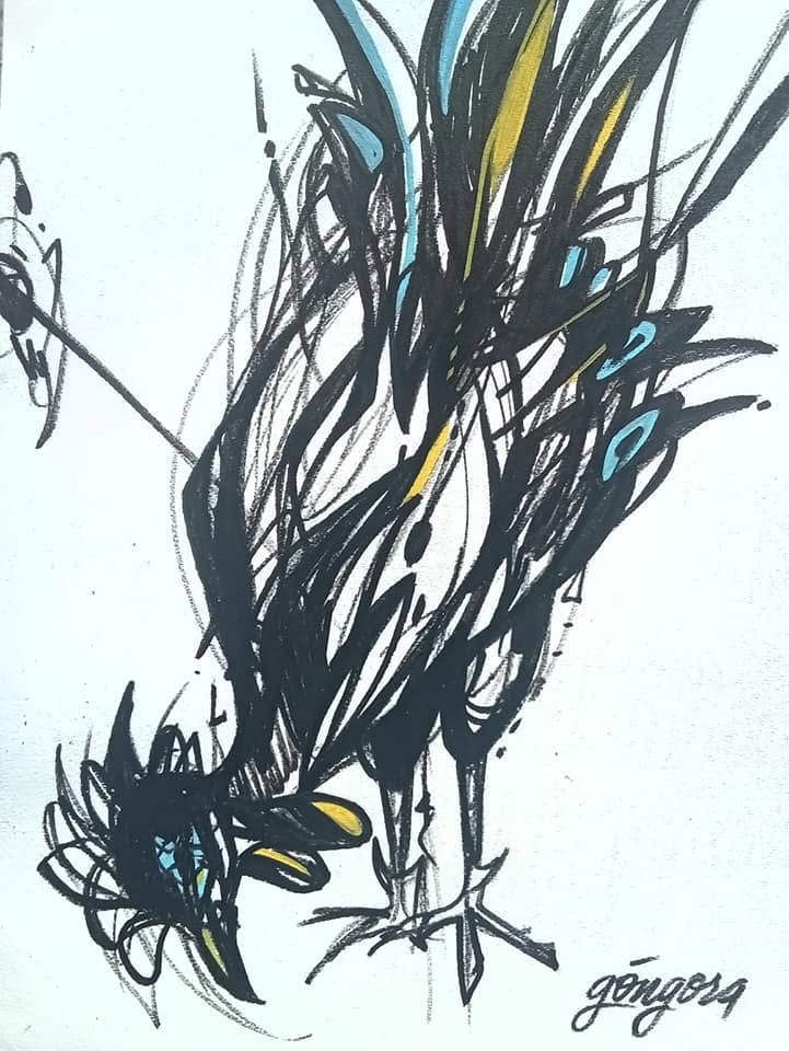 Gallo 2