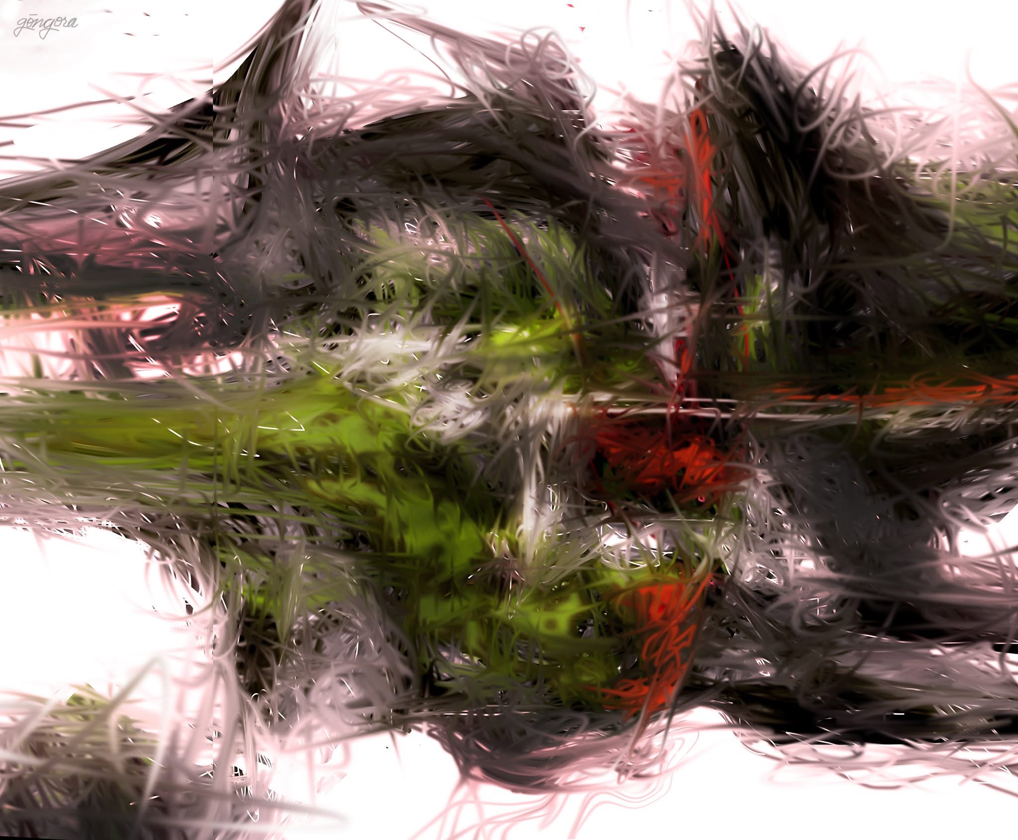 Illusion