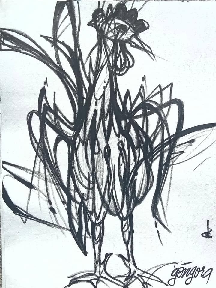 Gallo